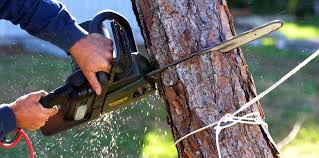 Best Soil Testing and Treatment  in Yardville, NJ