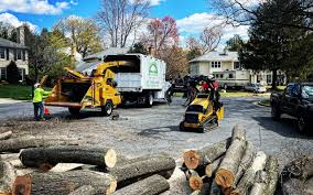 Best Lawn Pest Prevention  in Yardville, NJ